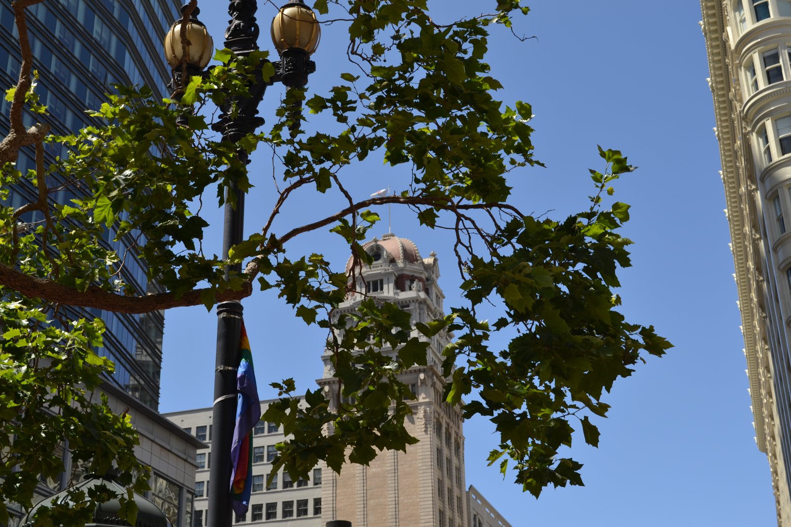 A copper dome peeking through summer sky