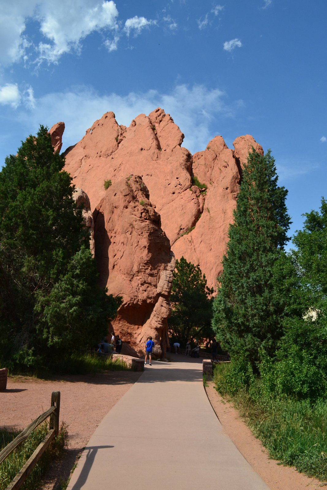 Sandstone between pines